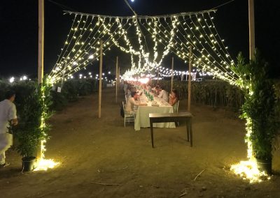 Allestimento luminarie per matrimoni in Abruzzo